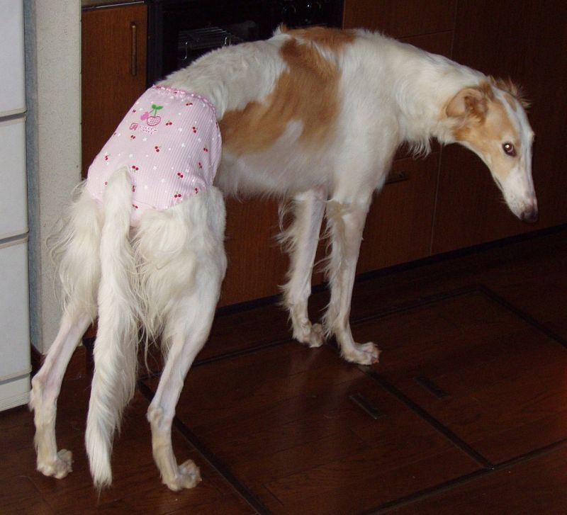 Ȃ܂߂`